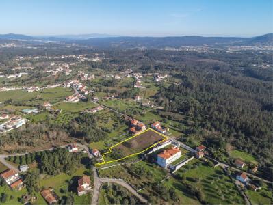 Vila Nova De Poiares, Coimbra 3351-000 -, Portugal
