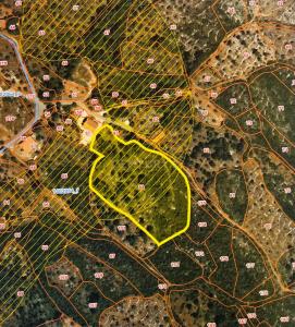 Alcanena, Santarém 2395-000, Portugal