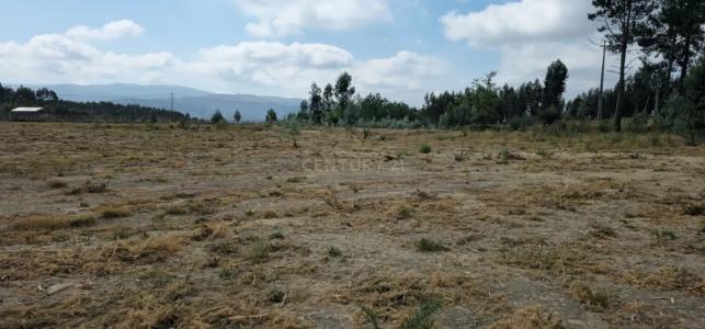 Marco de Canaveses, Porto 4625-164, Portugal