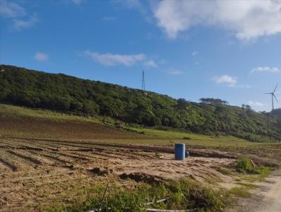 Lourinhã, リスボン 2530-696, ポルトガル
