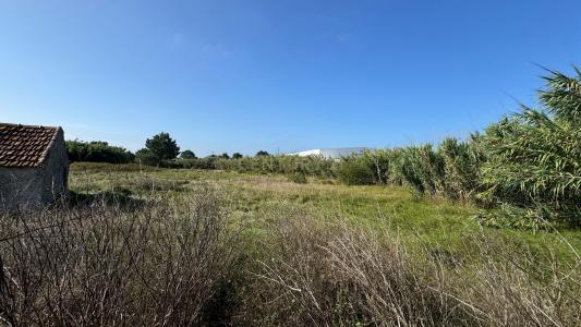 Nazaré, レイリア 2450-060, ポルトガル