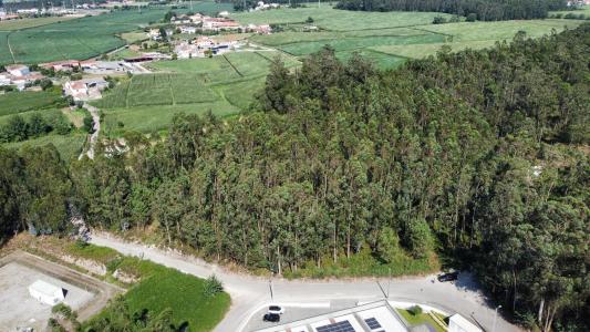 Trofa, Porto 4480-572, Portugal