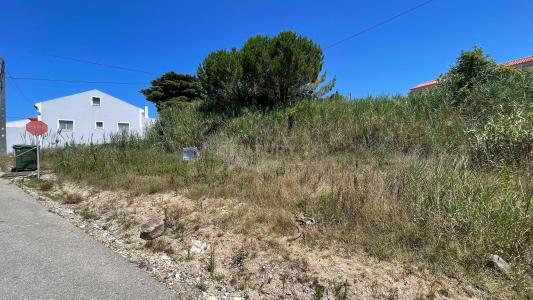 Bombarral, Leiria 2540-362, Portugal