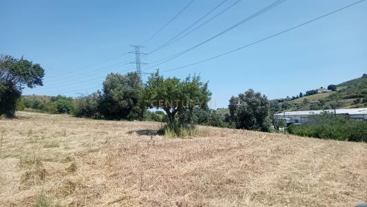 Vila Franca de Xira, Lisbon 2600-770, Portugal