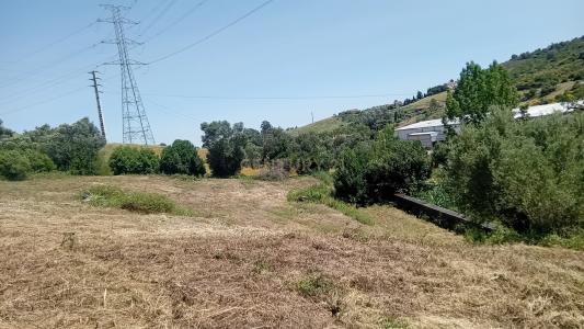 Vila Franca De Xira, 葡京 2600-770, 葡萄牙