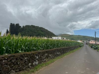 Lagoa, São Miguel Island 9560-303, Portugal
