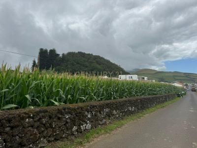 Lagoa, São Miguel Island 9560-303, Portugal