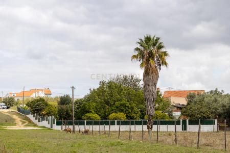 Vila Franca De Xira, Lisbonne 2615, Portugal