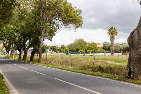 Vila Franca de Xira, Lisbon 2615, Portugal