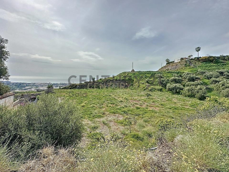 Malaga, Andalucía 29750, Spain