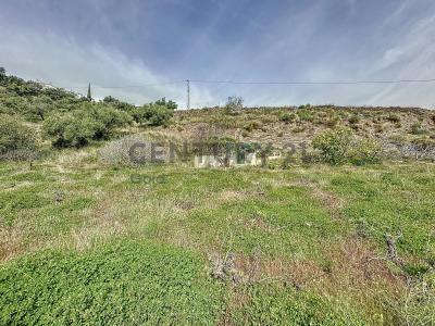 Malaga, Andalucía 29750, Spain