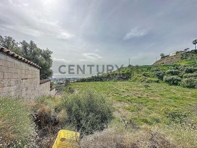 Malaga, Andalucía 29750, Spain