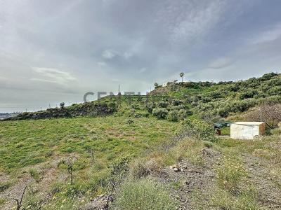Malaga, Andalucía 29750, Spain