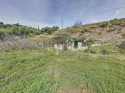 Malaga, Andalucía 29750, Spain