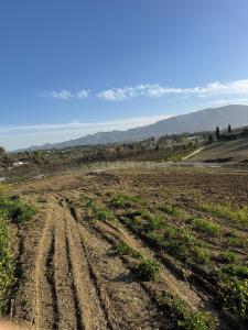 Málaga, Andalucía 29580, España