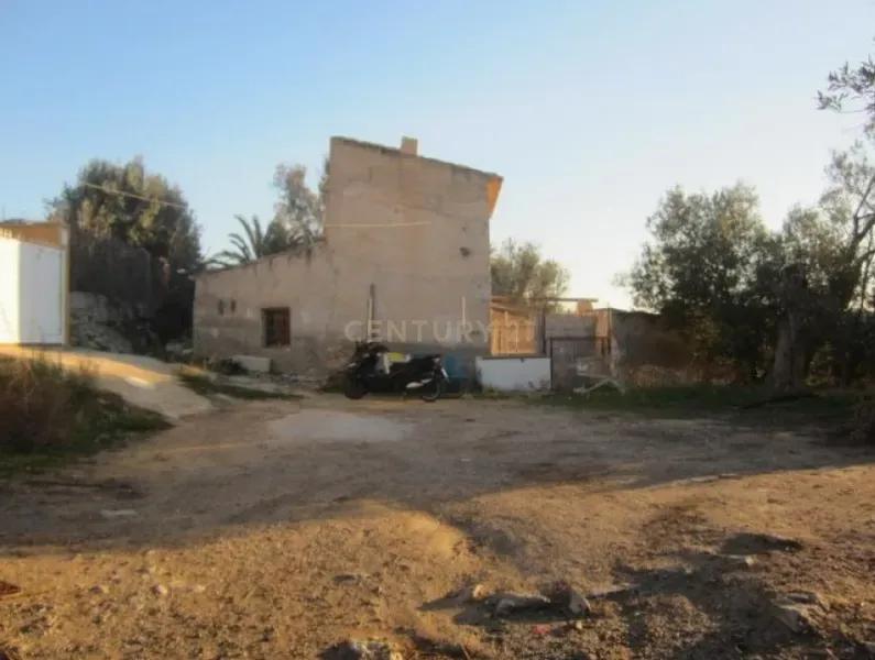 Alacant/Alicante, Comunitat Valenciana 03570, Spanien
