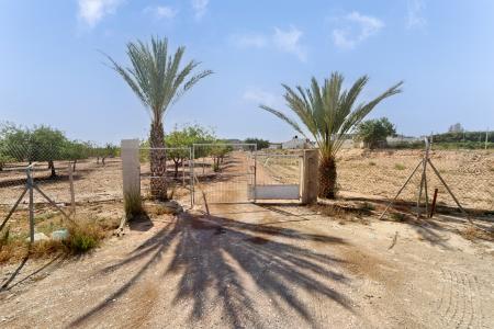 Alacant/Alicante, Comunitat Valenciana 03113, Spain