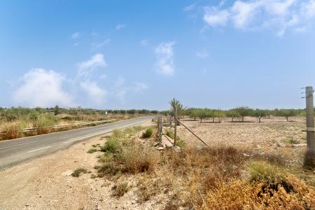 Alacant/Alicante, Comunitat Valenciana 03113, Spanien