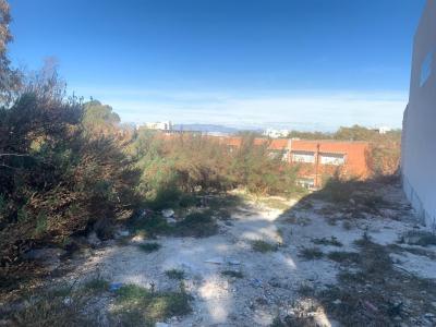 Alacant/Alicante, Comunitat Valenciana 03140, España
