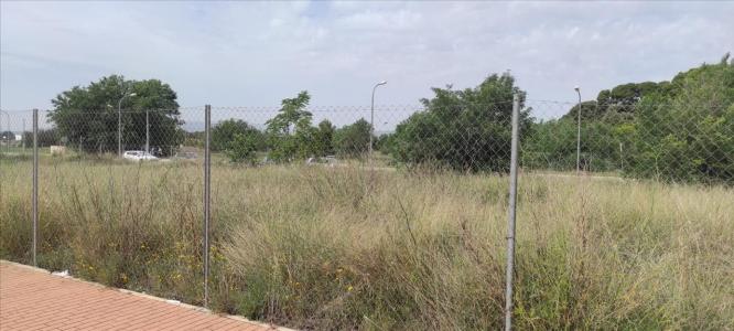 Alacant/Alicante, Comunitat Valenciana 03400, Espanha