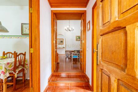 Las Palmas, Canarias 35330, Spain