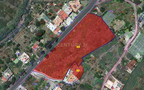 Las Palmas, Canarias 35423, Spain