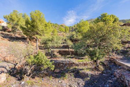 Castelló/Castellón, Comunitat Valenciana 12600, Spain