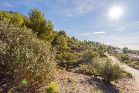 Castelló/Castellón, Comunitat Valenciana 12600, Spanien