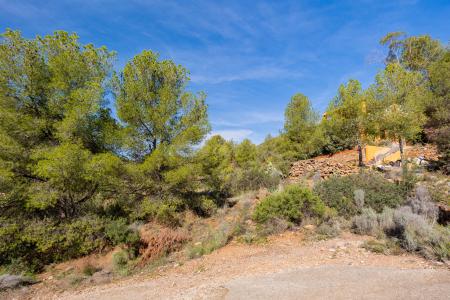 Castelló/Castellón, Comunitat Valenciana 12600, Spanien