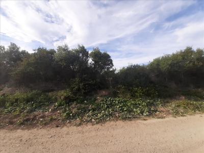 Tarragona, Cataluña/Catalunya 43700, İspanya