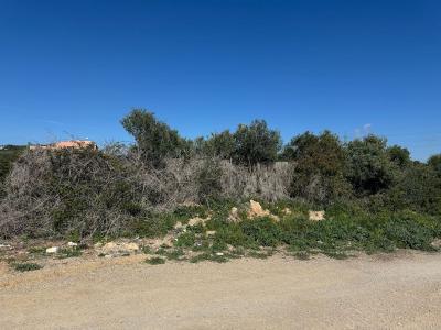 Tarragona, Cataluña/Catalunya 43700, İspanya