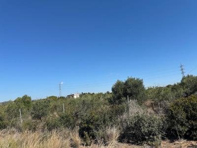 Tarragona, Cataluña/Catalunya 43700, İspanya