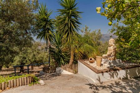 Granada, Andalucía 18699, Spain