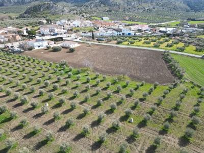 Málaga, Andalucía 29470, Spain