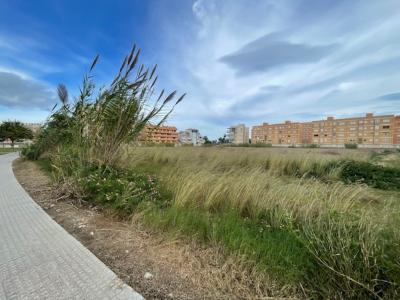 València/Valencia, Comunitat Valenciana 46760, Spain