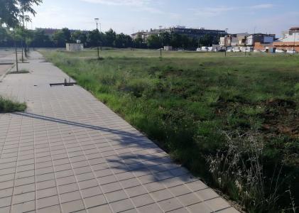 València/Valencia, Comunitat Valenciana 46460, Spain