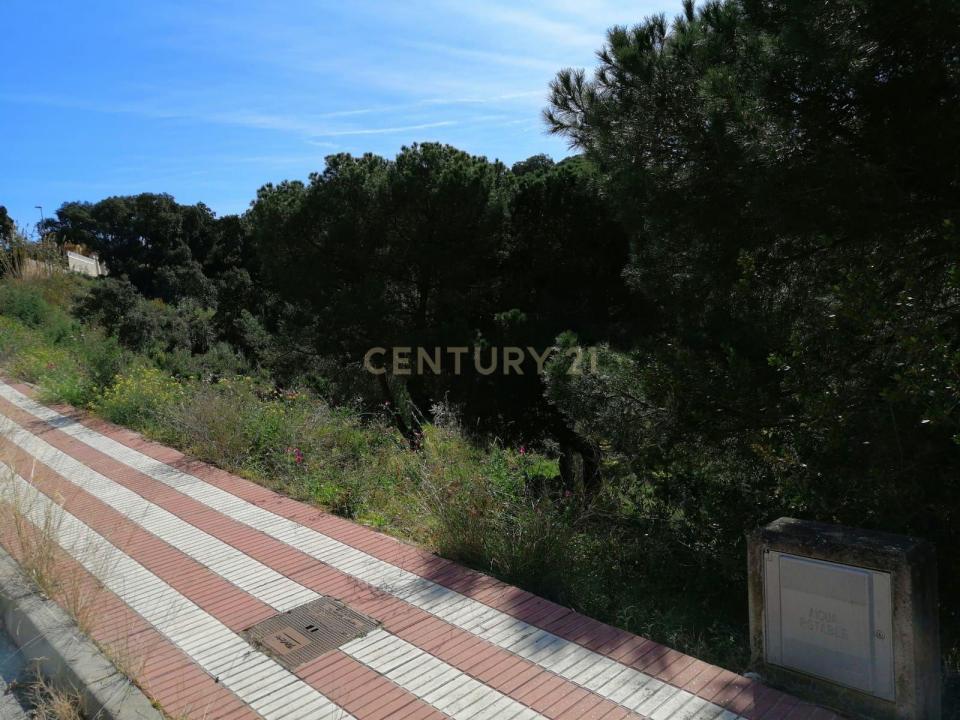Barcellona, Cataluña/Catalunya 08303, Spagna