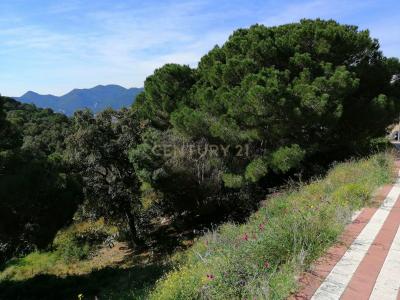 Barcelona, Cataluña/Catalunya 08303, Spain