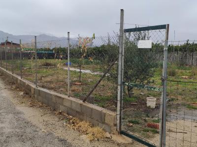 València/Valencia, Comunitat Valenciana 46760, 西班牙