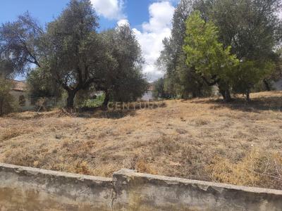 Málaga, Andalucía 29620, España