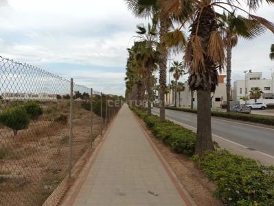 València/Valencia, Comunitat Valenciana 46520, Spain