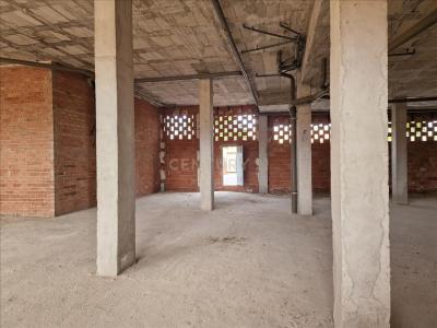 Alacant/Alicante, Comunitat Valenciana 03560, Spain