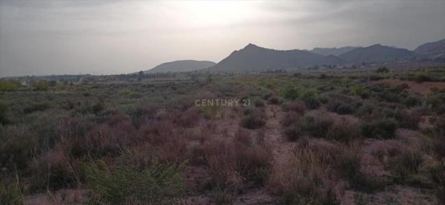 Murcia, Región de Murcia 30648, Spain