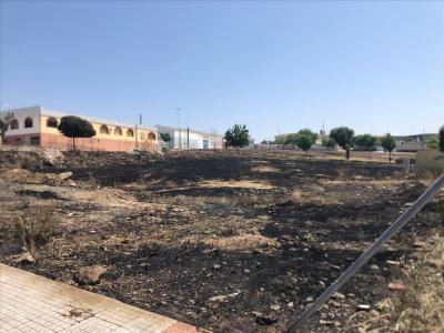 Badajoz, Extremadura 06800, Spain