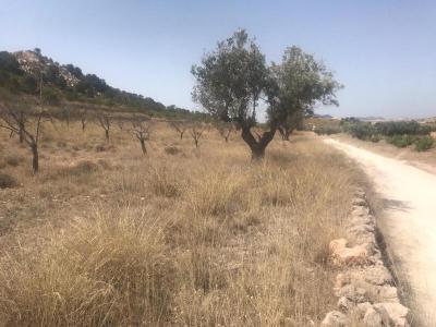 Murcia, Región de Murcia 30640, Spain