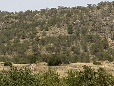 Murcia, Región De Murcia 30640, Espanha