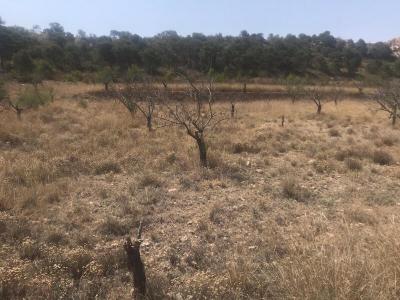 Murcia, Región De Murcia 30640, Espanha