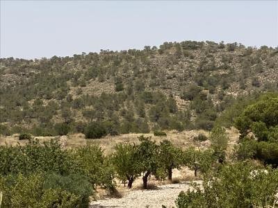 Murcia, Región De Murcia 30640, Espanha