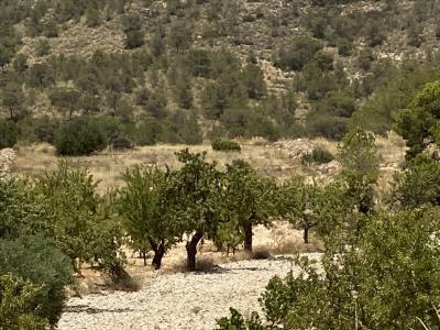 Murcia, Región De Murcia 30640, Espanha