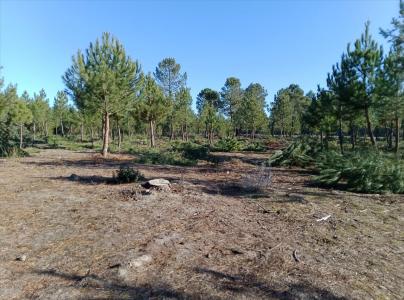 Segovia, Castilla Y León 40200, Spanien